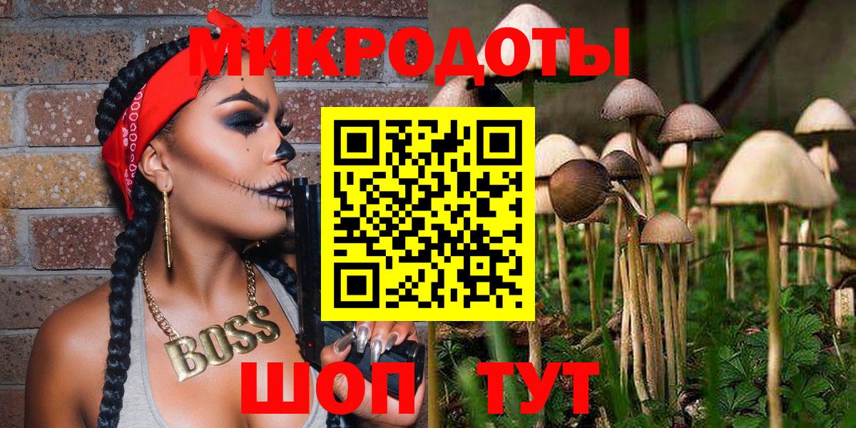 Кириши  Псилоцибиновые грибы прущие грибы  Вход с VPN 