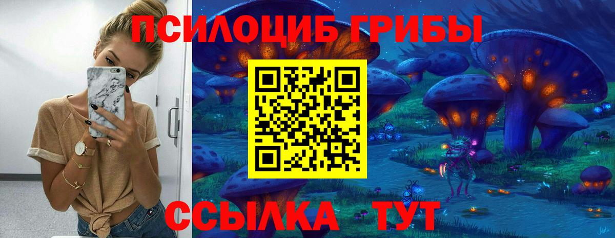 Псилоцибиновые грибы GOLDEN TEACHER Кириши